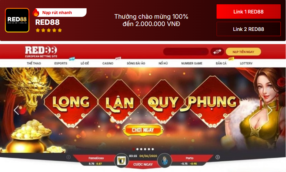 Giấy phép hoạt động Red88 3 Quyền và nghĩa vụ của người chơi